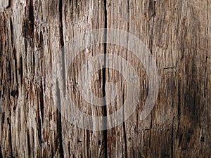 OldÃ¢â¬â¹ woodÃ¢â¬â¹ textureÃ¢â¬â¹